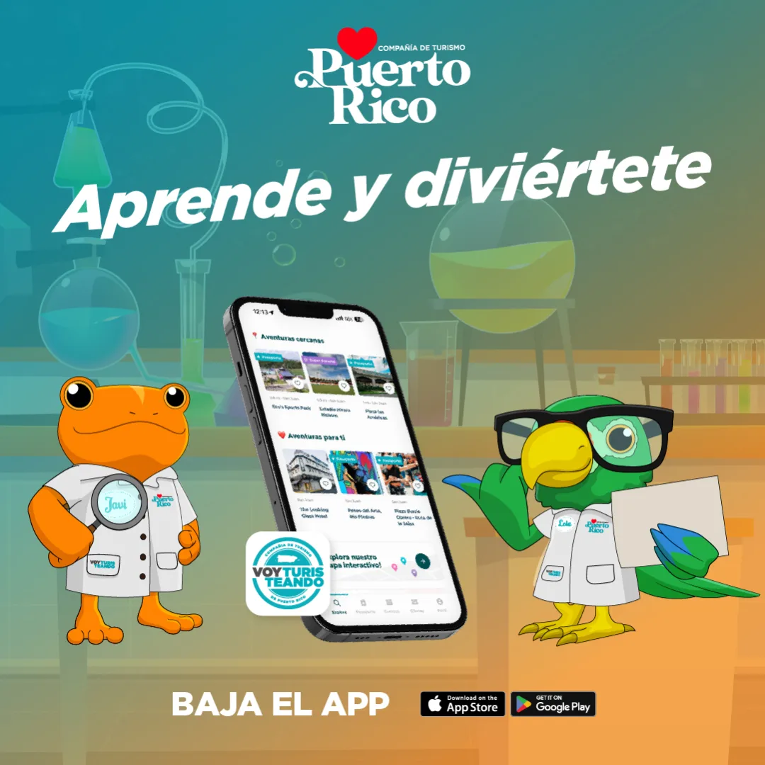 Voy Turisteando - Aprende y diviértete. Baja el app