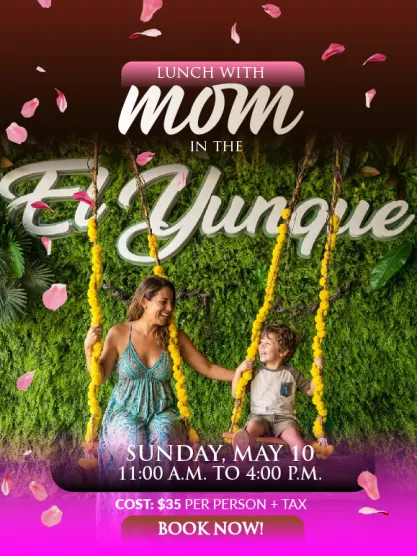 Lunch with Mom in El Yunque