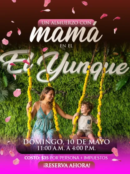 Un Almuerzo con Mamá en El Yunque