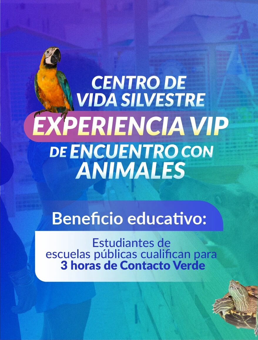 Centro de Vida Silvestre — Experiencia VIP de Encuentro con Animales