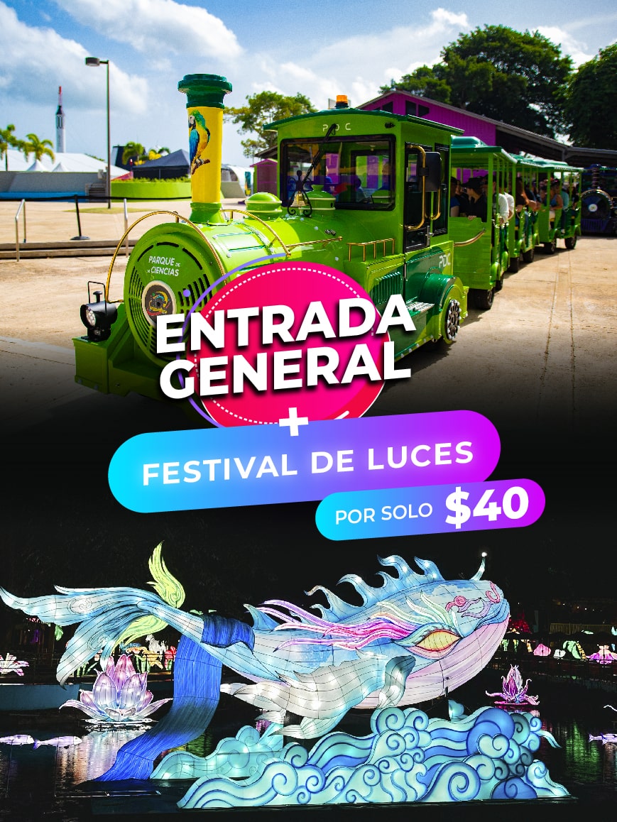 COMBO: GENERAL ADMISSION + MAGIC FESTIVAL OF LIGHTS