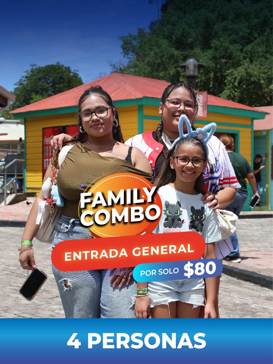 FAMILY COMBO: GENERAL ADMISSION 4 PEOPLE