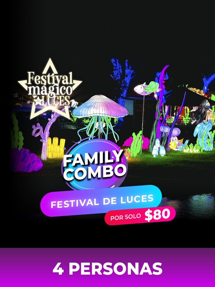 FAMILY COMBO: MAGIC FESTIVAL OF LIGHTS 4 PEOPLE