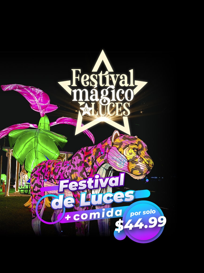 FESTIVAL MÁGICO DE LUCES + COMIDA