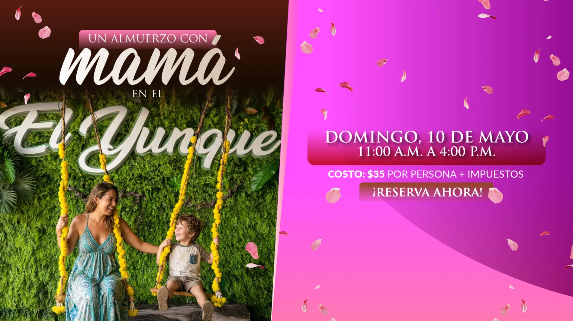 Hero Imagen VIP Experience