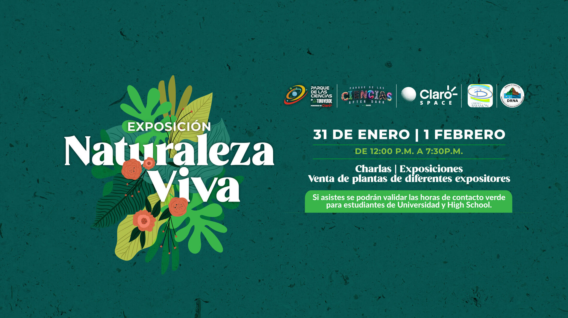 Hero Imagen VIP Experience