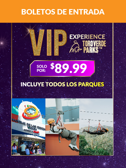 VIP EXPERIENCE